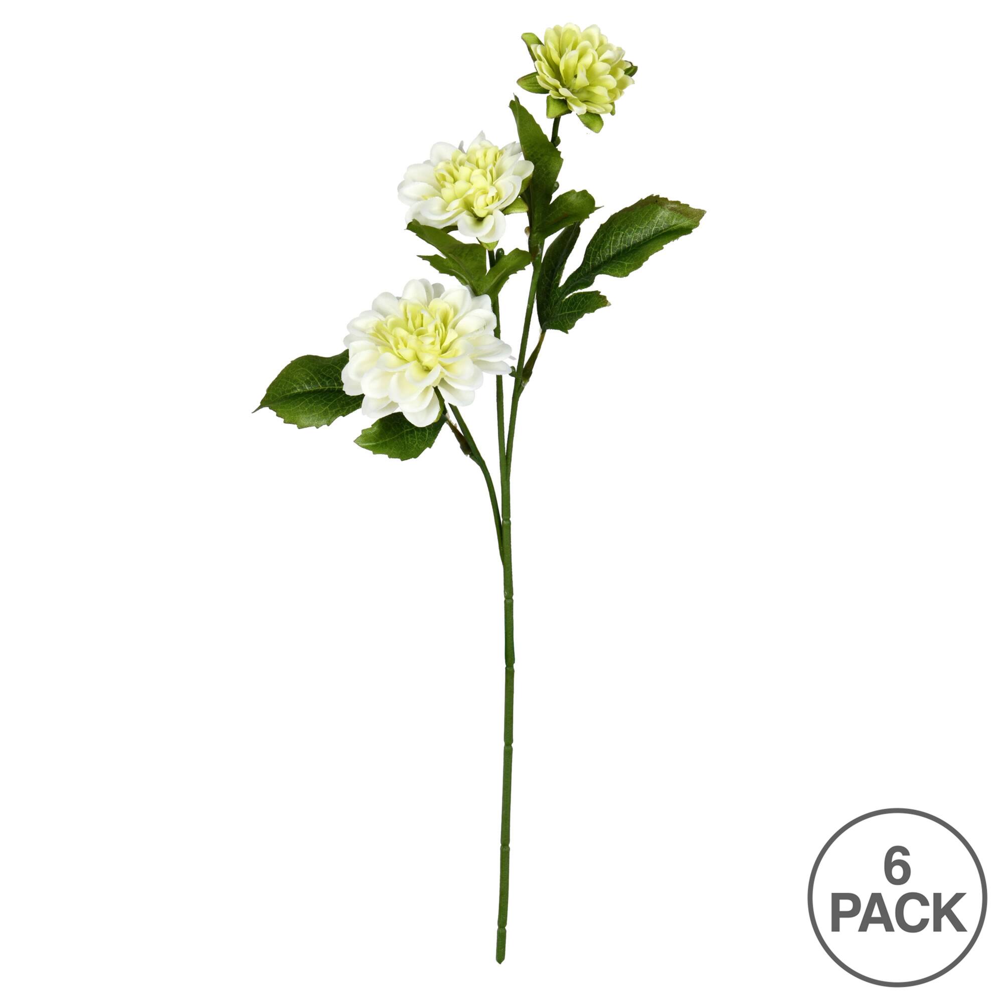 6 Pack: Cream Dahlia Spray